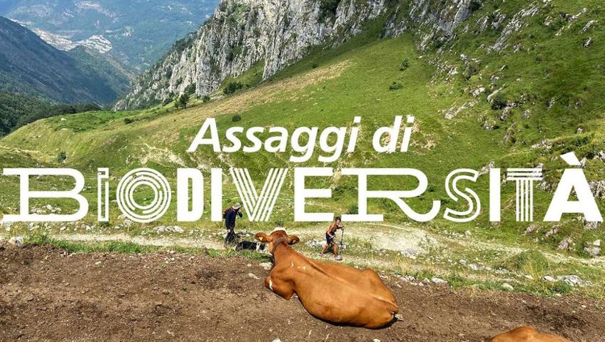 FORMAGGI D'ALTA QUOTA